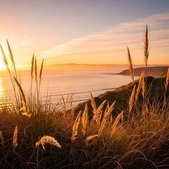 Golden hour glow over tranquil coastal grassland at dusk illustration