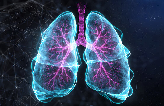 Digitally rendered human lungs illustration with bronchial tree highlighted in vibrant pink showing respiratory anatomy and medical technology concept Generative Ai.