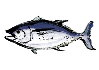 マグロの和風筆書きイラスト