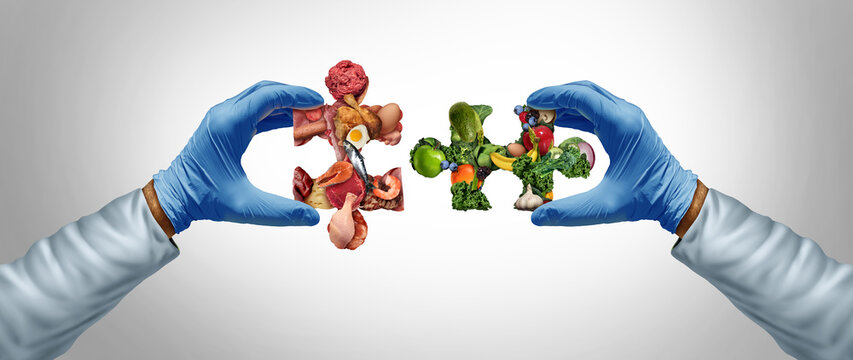 Meat And Vegetable Nutrition science and Food Sciences solution as a nutritionist or scientist with nutrients solving a puzzle and caloric intake as a dietary health concept for wellness and digestion
