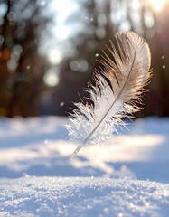 Eine Feder fliegt auf eine Schneedecke unter einem hellen Winterhimmel mit sanftem Schneefall.