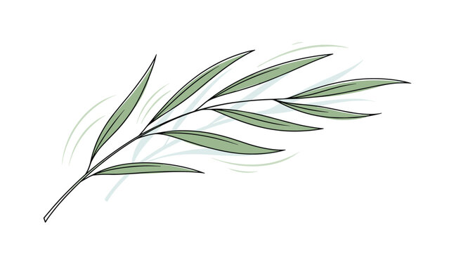 Simple elegant line drawing illustration of a leafy willow or olive branch with long narrow leaves on a white background.