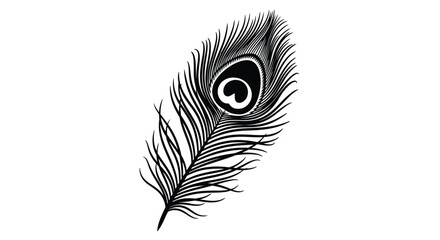 Obraz premium A detailed black and white illustration of a single peacock feather