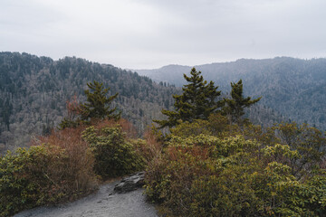 Mountain range overlook with evergreen trees and hiking trail © Trey
