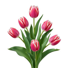 Fototapeta premium A vibrant bouquet of pink tulips with green stems and leaves isolated on transparent background