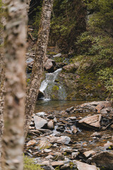 Fototapeta premium Small waterfall flowing over mossy rocks in forest brook