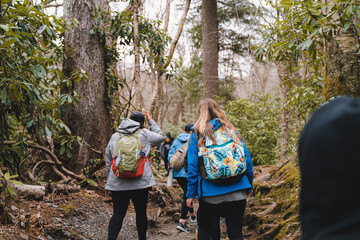Group of hikers walking on mountain trail through dense forest
