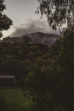 Misty mountain landscape with lush green trees and foggy sky