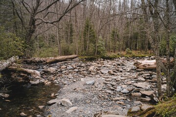 Rocky mountain stream bed in autumn forest with fallen logs