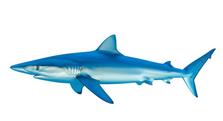 Obraz premium Blue shark swimming illustration, isolated on transparent background