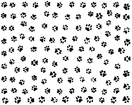 	
Black silhouettes of prints of dog paws, Seamless pattern	
