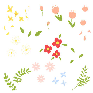 단순한 꽃 모음/simple flower collection
