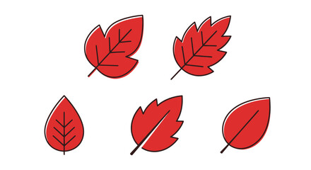 Red leaf Line art abstract color concept vector