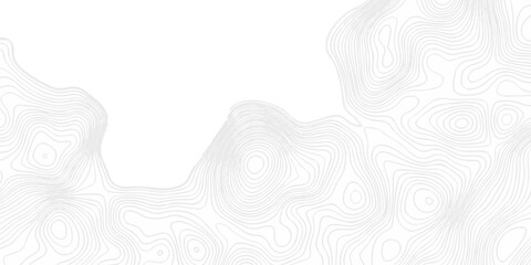 Topographic seamless map pattern with contour lines. Abstract geographic elevation design, lines sea map modern white background. © coal digger