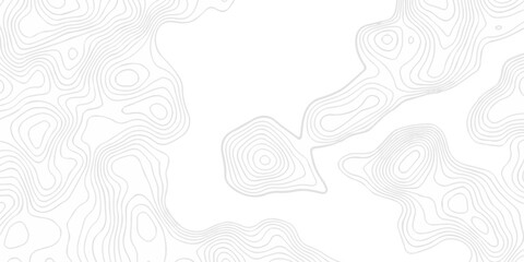 Topographic seamless map pattern with contour lines. Abstract geographic elevation design, lines sea map modern white background. © coal digger