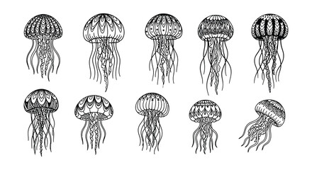 A collection of detailed black and white illustrations depicting various jellyfish © Begum