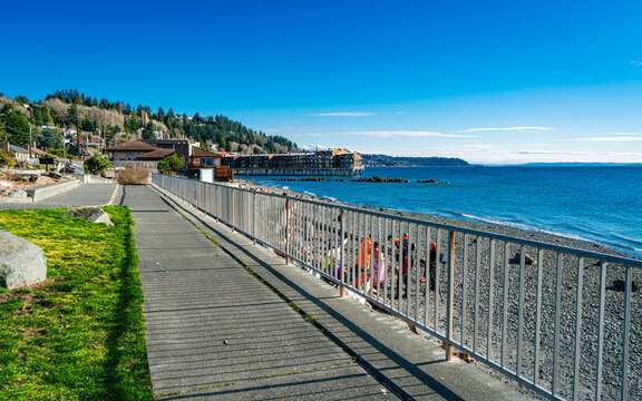 West Seattle Shoreline Walkway 4