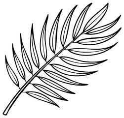 Fototapeta premium Elegant Line Drawing of a Palm Frond for Decoration, Isolated Against White, Adding a Tropical Touch to Various Design Projects