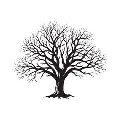 Obraz premium Oak Tree Silhouette Vector with Bare Branches Isolated on White Background
