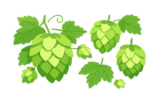 This illustration shows several green hop cones and serrated leaves on a black background. The stylized artwork depicts the essential ingredients used in the beer brewing process.