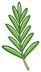 Fototapeta premium Stylized green rosemary branch with outline illustration