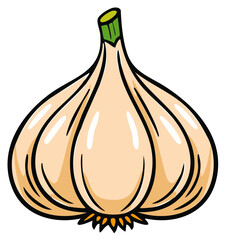 Fresh whole garlic bulb cartoon illustration with green stem and roots