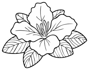 Outline drawing of a blooming flower with leaves, perfect for coloring or design elements