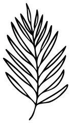 Stylized black line art drawing of a tropical palm leaf simple botanical illustration
