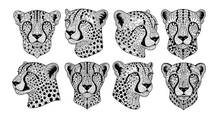 Detailed black and white illustration of multiple cheetah heads arranged in rows © nurjahan
