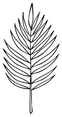 Fototapeta premium Minimalist Tropical Palm Leaf Line Art Illustration Hand Drawn Style Element
