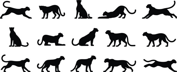 Black Panther and Leopard Silhouettes Set in Various Poses Isolated on White Background, Big Cat Wildlife Illustration Collection for Design and Branding Use