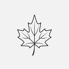 Obraz premium Maple Leaf Outline Icon Vector – Minimal Autumn Nature Line Art Illustration