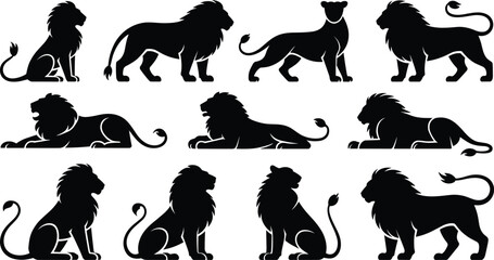 Silhouette lions, male and female, sitting, standing, lying down, mane variation, wildlife illustration, animal posture, zoology, nature, design ©  Miller