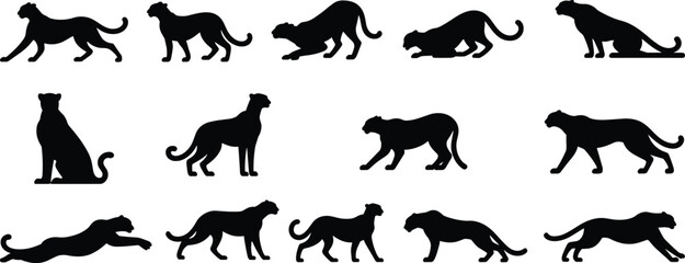 Black Panther Silhouette Collection in Different Poses Isolated on White Background, Big Cat Wildlife Vector Set for Logo, Branding and Graphic Design