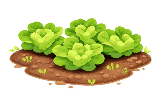 Four bright green leafy vegetables grow in a patch of brown earth. This stylized digital illustration shows the plants with layered leaves and small sprouts on a black background.