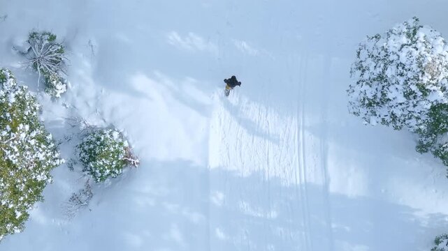 Drone top view capturing a single person walking through deep fresh snow surrounded by winter landscape. Minimal white scenery with peaceful cold atmosphere and clear footprints.