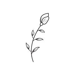 Delicate line art illustration of a single blooming flower with leaves, conveying growth, nature, and beauty.