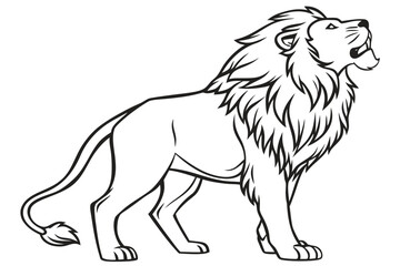 Obraz premium Lion Roaring Toward Sky - Powerful Wildlife Line Art Drawing for Kids Coloring Activity