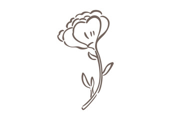 A simple line drawing of a flower on a stem with leaves
