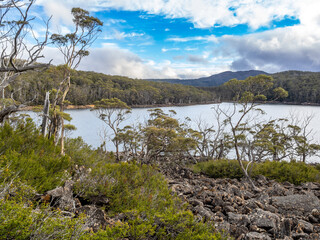 Fenton lake mt field national park, Tasmania