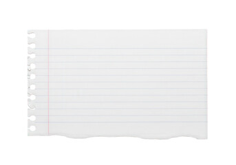 Blank lined paper sheet with holes for binding