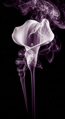White Callalily Formed from Purple Smoke.