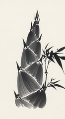 Black and White Bamboo Illustration.
