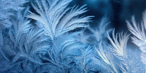 Obraz premium Close-up of frost patterns on glass creating intricate icy designs