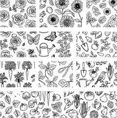 Fototapeta premium A collection of various black and white illustrations of plants and flowers