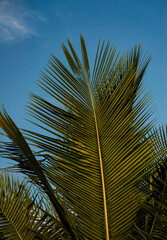 Traditional fishing boats resting along the coast of Itacar&eacute;, Bahia, Brazil, under strong yellow sunlight. The intense tropical sun creates golden reflections on the ocean surface, highlighting the vi