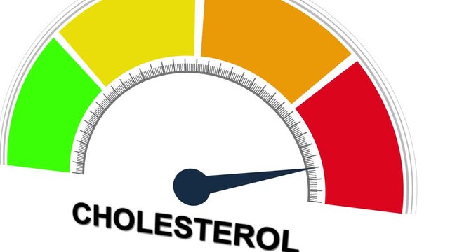 high Cholesterol level meter Animation. low level to high indicator gauge on white background. Motion graphics of mater level concept