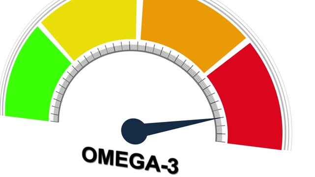 Omega 3 Levels gauge meter infographics : Low Average and High. Motion graphics of mater level concept
