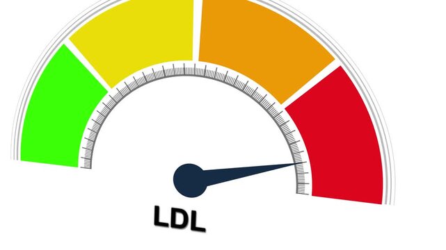 Animated LDL (bad cholesterol) / Low density lipoprotein level meter moving from high level to normal level for concept. Business, Technology, Motion graphics of mater level concept