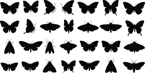 Black silhouette vector collection of various butterflies and moths in different wing positions and sizes isolated on a white background for graphic design. © IconicCreations